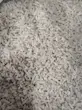 برنج سرلاشه اعلا طارم هاشمی