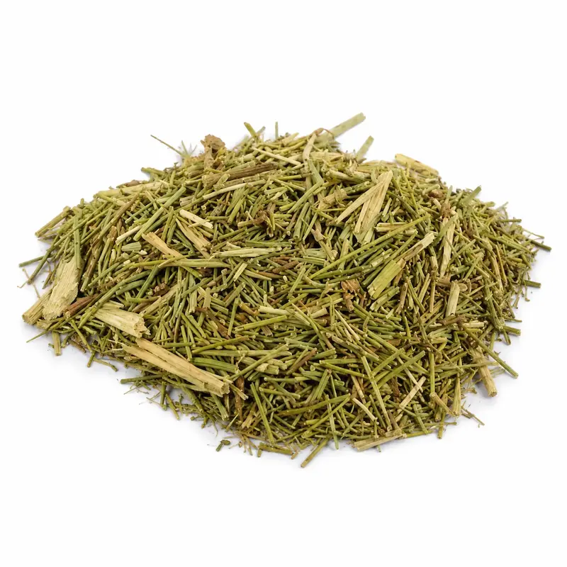 گیاه خارشتر