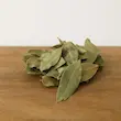 برگ بو