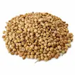 تخم گشنیز