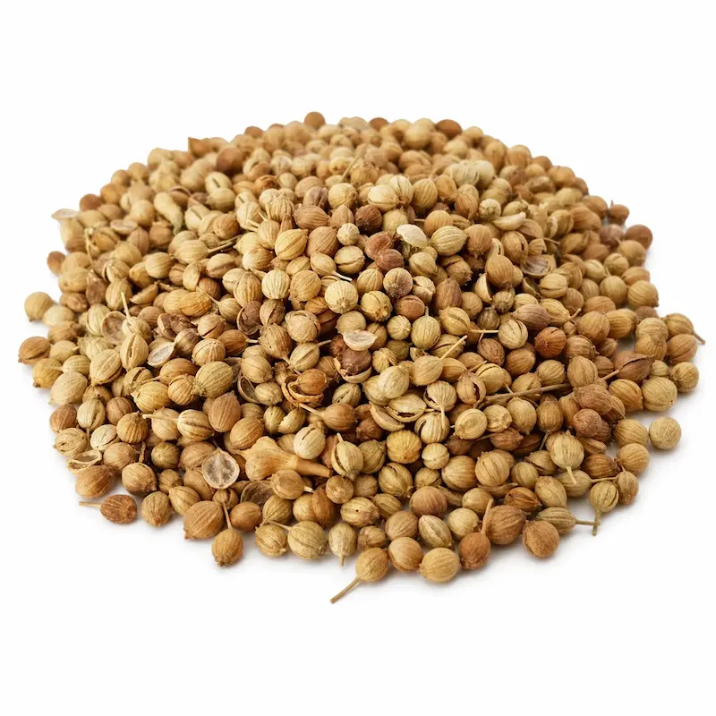 تخم گشنیز