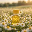 روغن بابونه