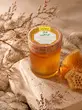 عسل گزانگبین ویژه - ۵۰۰ گرم