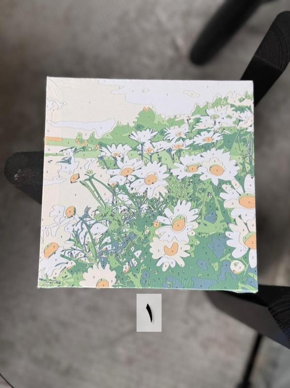 بوم نقاشی شماره دار