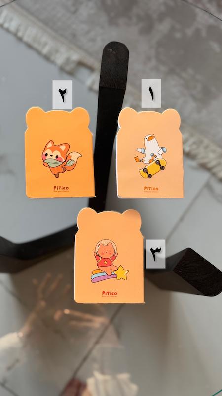 دفترچه پاسپورتی