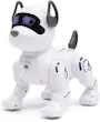 ربات کنترلی سگ هوشمند RC Stunt Dog | ربات سگ Interactive با کنترل از راه دور، حرکات نمایشی، موزیک و نور LED | بهترین اسباب بازی رباتیک کودک