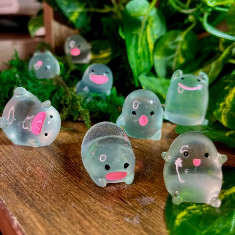 پک پنج عددی وارا وارا|شبتاب