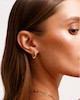 گوشواره طلا هاله حلقه‌ای از طلای ۱۸ عیار بَست