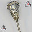 THERMO ENGINEERING 2PT100 0HM CL.B