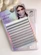 پالت سنجابی S2lash کد 10p 