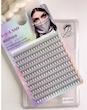پالت سنجابی S2lash کد 10p 