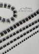 فیشر پنجه گربه ای