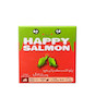 بازی هپی سالمون پلاس Happy Salmon Plus