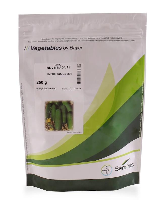 بذر خیار ۲ ان نادا (2n nada) وارداتی