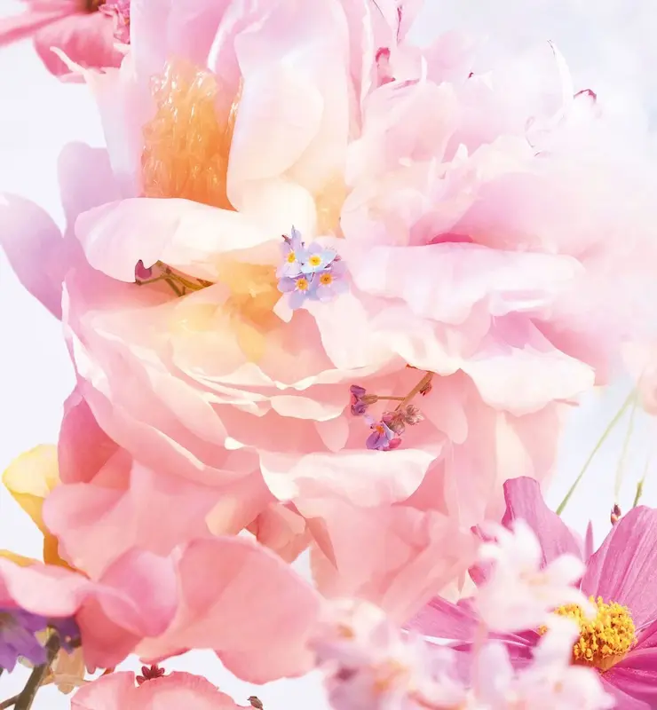 مینی عطر missdior حجم 5 میل 