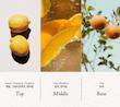 کلینزینگ بالم یوجا fit your skin 