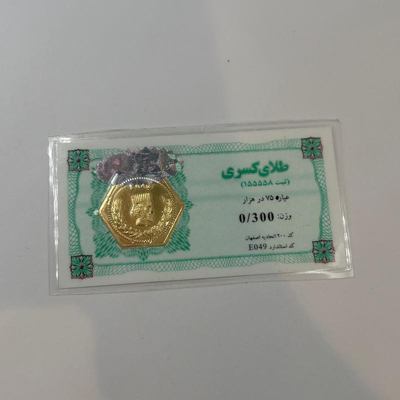 آویز زنانه طلا ۱۸ عیار سکه پارسیان 0.300 گالری یگانه