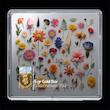 763569e1ea5ceaa3a3f910c07bb79f1f.jpg