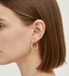 گوشواره زنانه طلا ۱۸ عیار گوشواره حلقه ای سند پلاست گالری طلای آنوشا