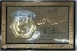 سکه مردانه طلا ۱۸ عیار سکه پارسیان ۵۰۰سوت جواهری امیری