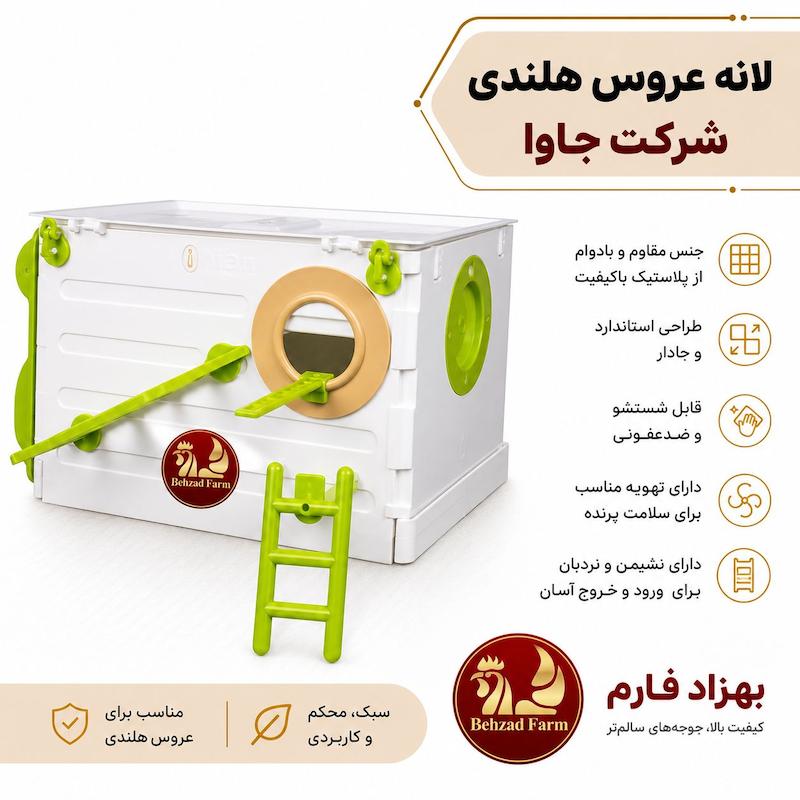 لانه عروس هلندی شرکت جاوا