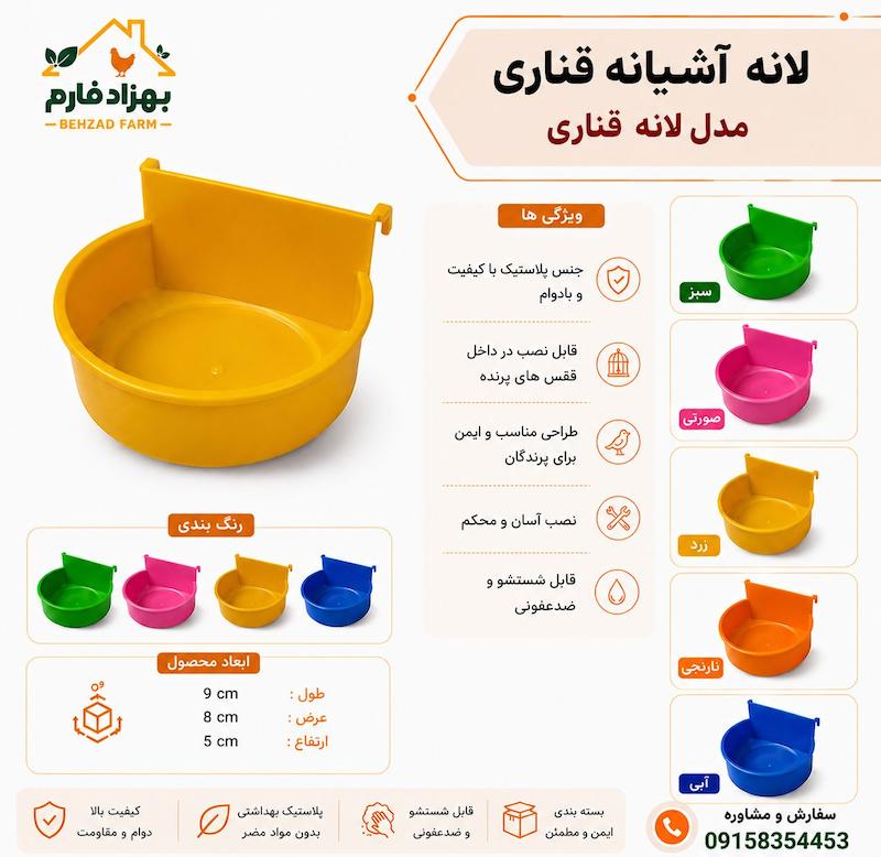 لانه قناری