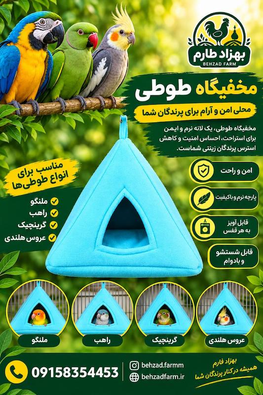 مخفیگاه طوطی
