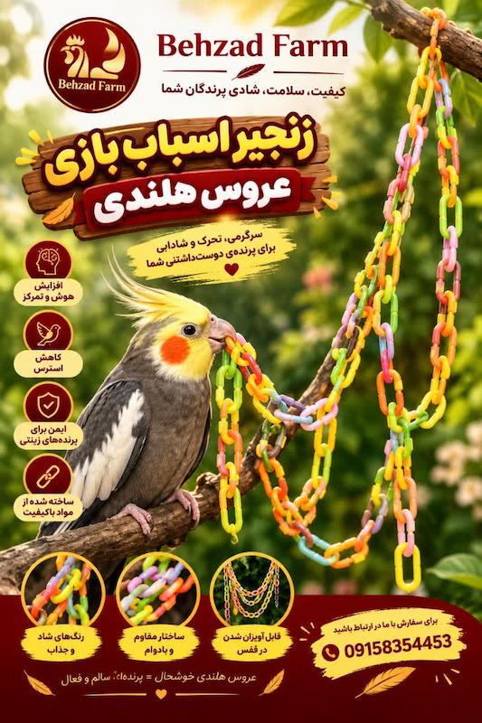 زنجیر اسباب بازی