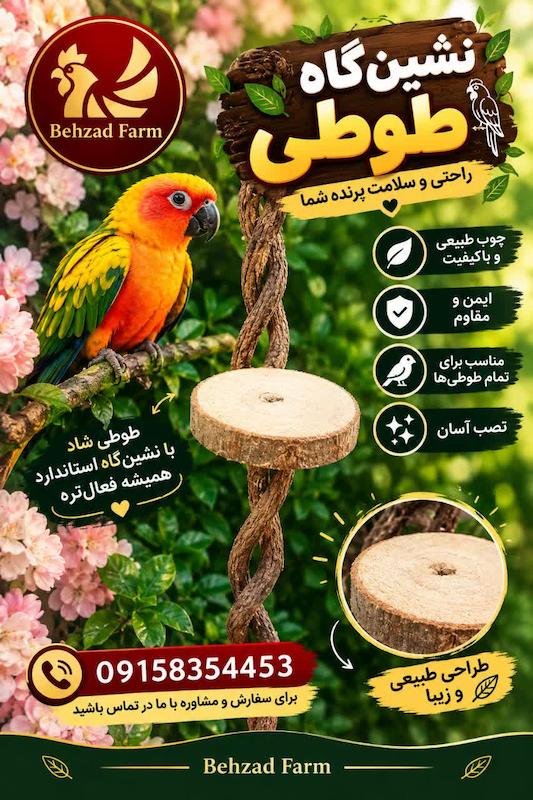 نشیمن گاه طوطی