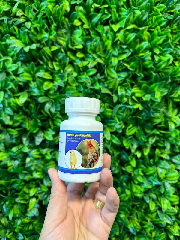 پروبیوتیک خارجی