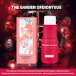 عطر جامد برند Formbo - سفارش مستقیم از چین 