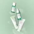 کیت مسافرتی جای سبز (مخصوص پوست چرب و مستعد) سنتلا SKIN1004 Tea-Trica Travel Kit