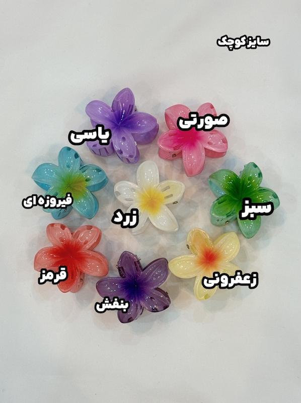 کلیپس پلومریا سایز کوچک⭐️