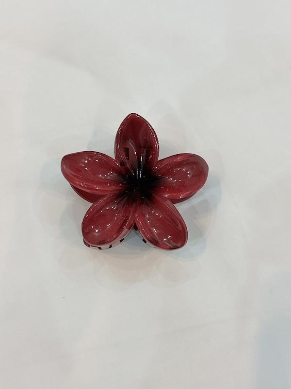 کلیپس پلومریا چری / خیلی بزرگ🍒