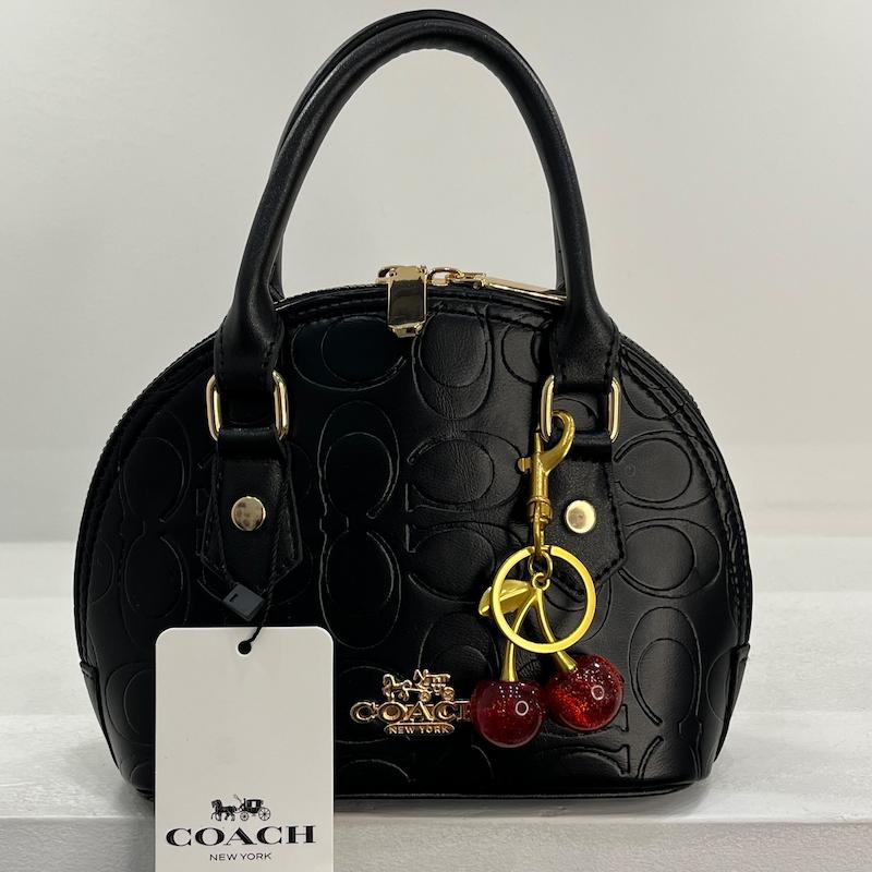 کیف کوچ گیلاسی گنبدی coach