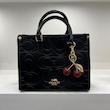 کیف کوچ گیلاسی دستی coach