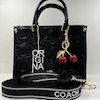 کیف کوچ گیلاسی دستی coach