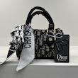 مینی بگ دیور صندوقی dior