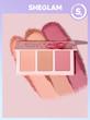 پالت رژگونه پودری شیگلم سه رنگ مدل سوییت چیکس -- Sheglam Sweet Cheeks Blush Trio 