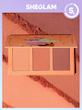 پالت رژگونه پودری شیگلم سه رنگ مدل سوییت چیکس -- Sheglam Sweet Cheeks Blush Trio 