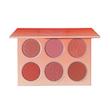 پالت رژگونه مدل FLORAL شیگلم اورجینال -- Sheglam Floral Flush Blush Palette