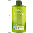 شامپو فولیکا فاقد سولفات موهای چرب حجم ۴۰۰ میلی‌لیتر________ Sebomine B6 Sebo Regulating Shampoo Fulica