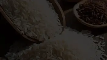 برنج-هاشمی