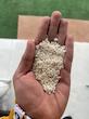  برنج هاشمی نیم دانه (شکسته) درشت عطری با کیفیت ممتاز و سورت شده | قیمت مناسب | 5 و 10 کیلویی