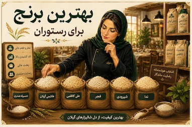 بهترین برنج ایرانی برای رستوران‌ها | رتبه‌بندی برنج رستورانی از دمسیاه تا هاشمی 