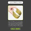 محافظ صفحه نمایش مولتی نانو مدل X-S1N مناسب برای لپ تاپ 15.6 اینچ