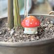 Cute mushroom🍄🌟