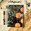 کتاب شعر لانا دل ری violet bent backwards over the grass🍊