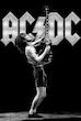 گردنبند ACDC