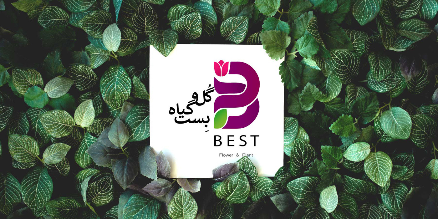 slide-image-undefined